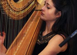 Ana Ester Santos, harpa