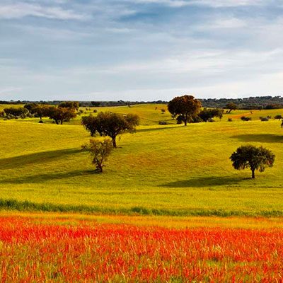 Alentejo na Primavera