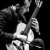 Júlio Guerreiro guitarra