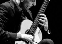 Júlio Guerreiro guitarra