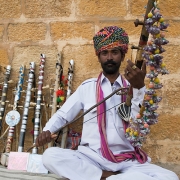 Chikara, cordofone de arco, Índia