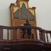 Torres Vedras: O órgão Histórico da Igreja da Misericórdia