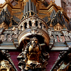 Órgão construído por D. Francisco António Solha/Sá Couto c. 1765, restaurado pela Oficina e Escola de Organaria, em 2010, opus 55.