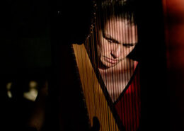 Angélica Salvi, harpista, créditos Renato Cruz Santos