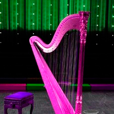 Harpa paraguaia