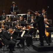 Vítor Matos, maestro