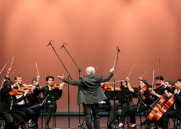 Sinfonietta de Braga